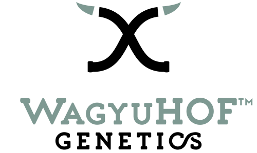 Wagyu Embroynen