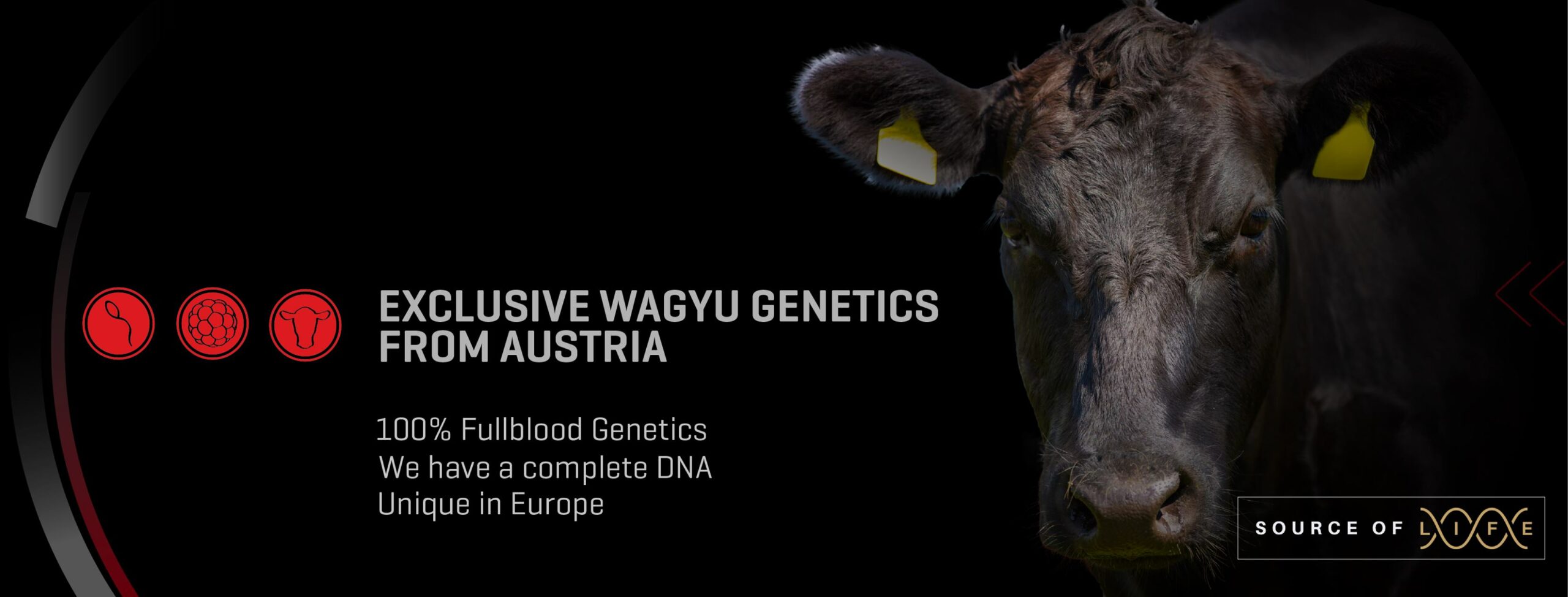 Wagyuhof Genetik