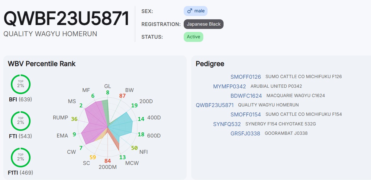 Homerun Australische Zuchtwerte Jänner 2026