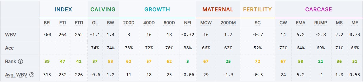 Ayato Neue Zuchtwerte Februar 2026
