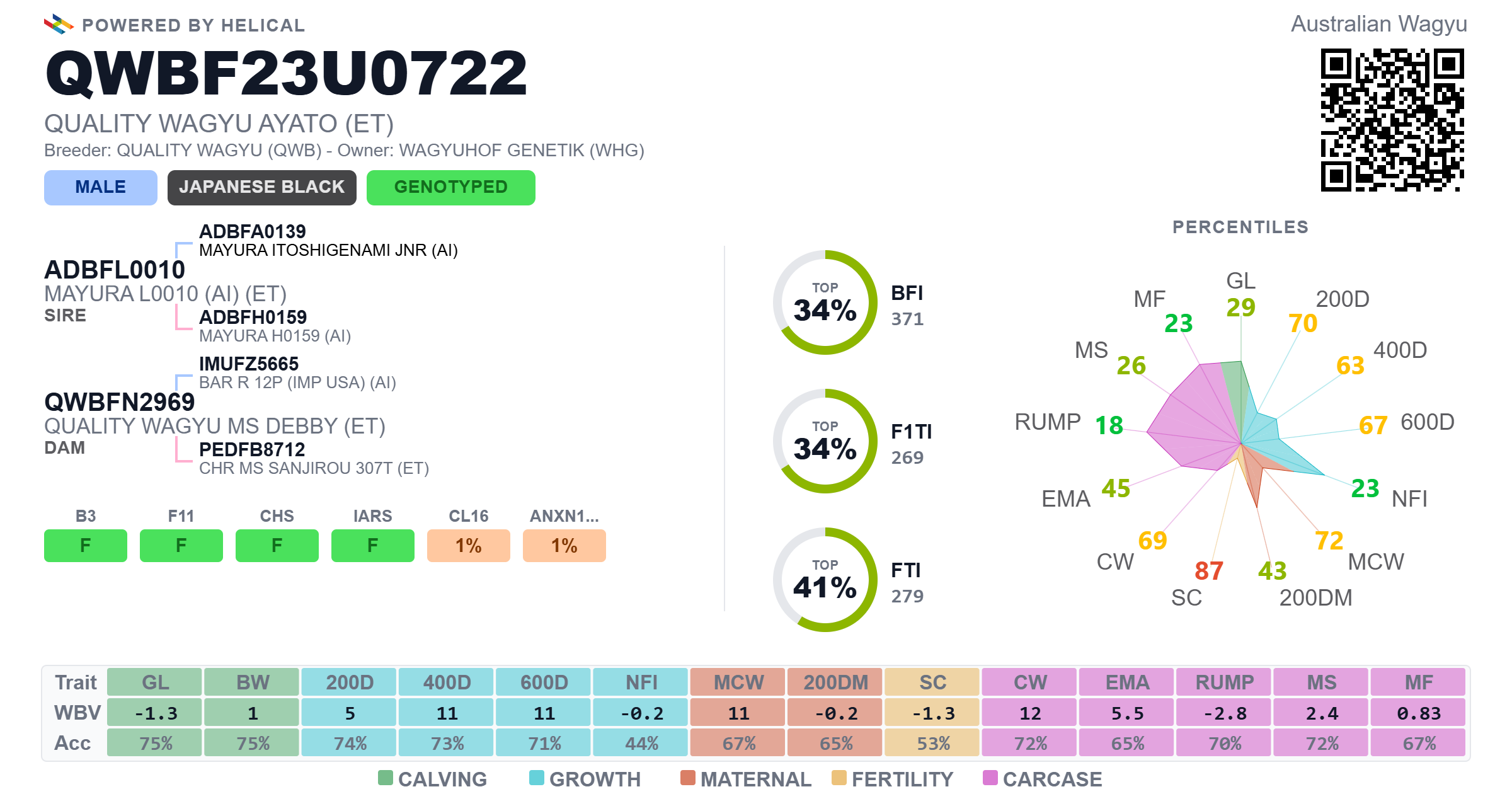 Ayato QWBF23U0722 – valores genéticos Breedplan de Australia: BFI A$371, FTI A$279, F1TI A$269