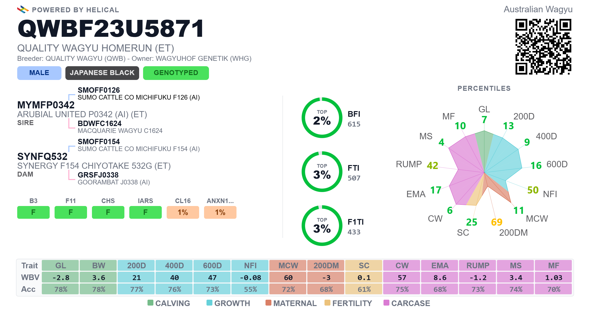 Homerun QWBF23U5871 – valores genéticos Breedplan de Australia: BFI A$615, FTI A$507, F1TI A$433